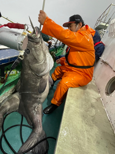 アブラボウズの釣果