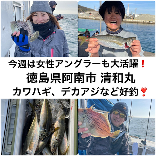 カワハギの釣果