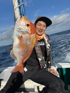 レンコダイの釣果