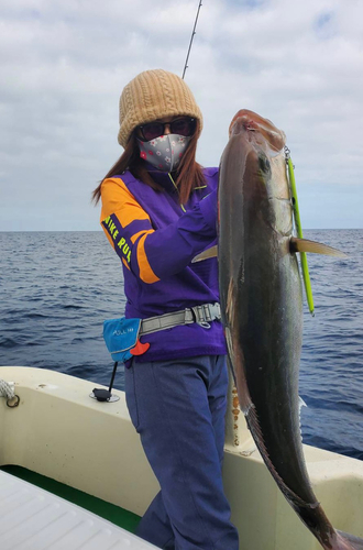 カンパチの釣果