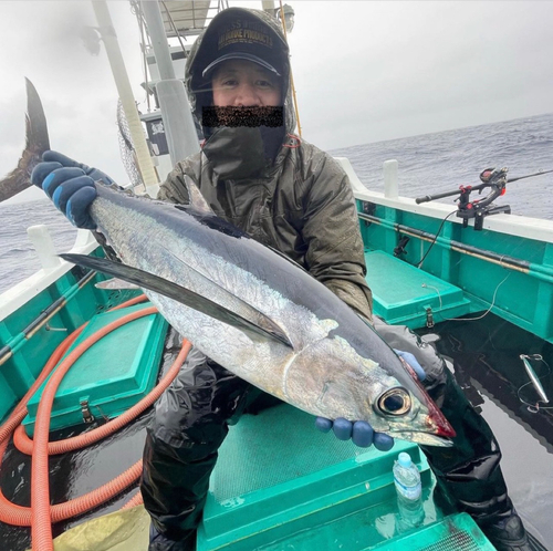 ビンチョウマグロの釣果