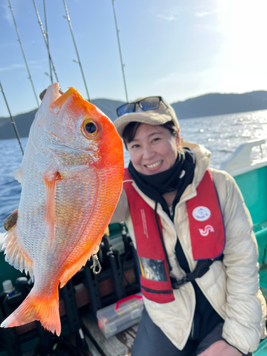 レンコダイの釣果