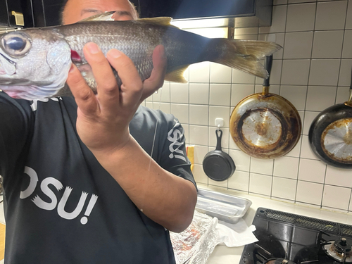 クロムツの釣果