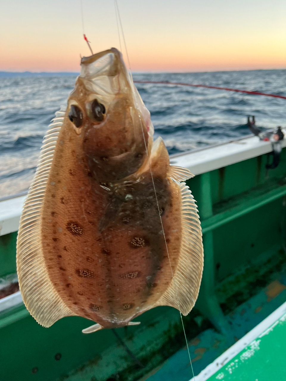 禰󠄀豆子さんの釣果 1枚目の画像