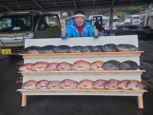 クチブトグレの釣果