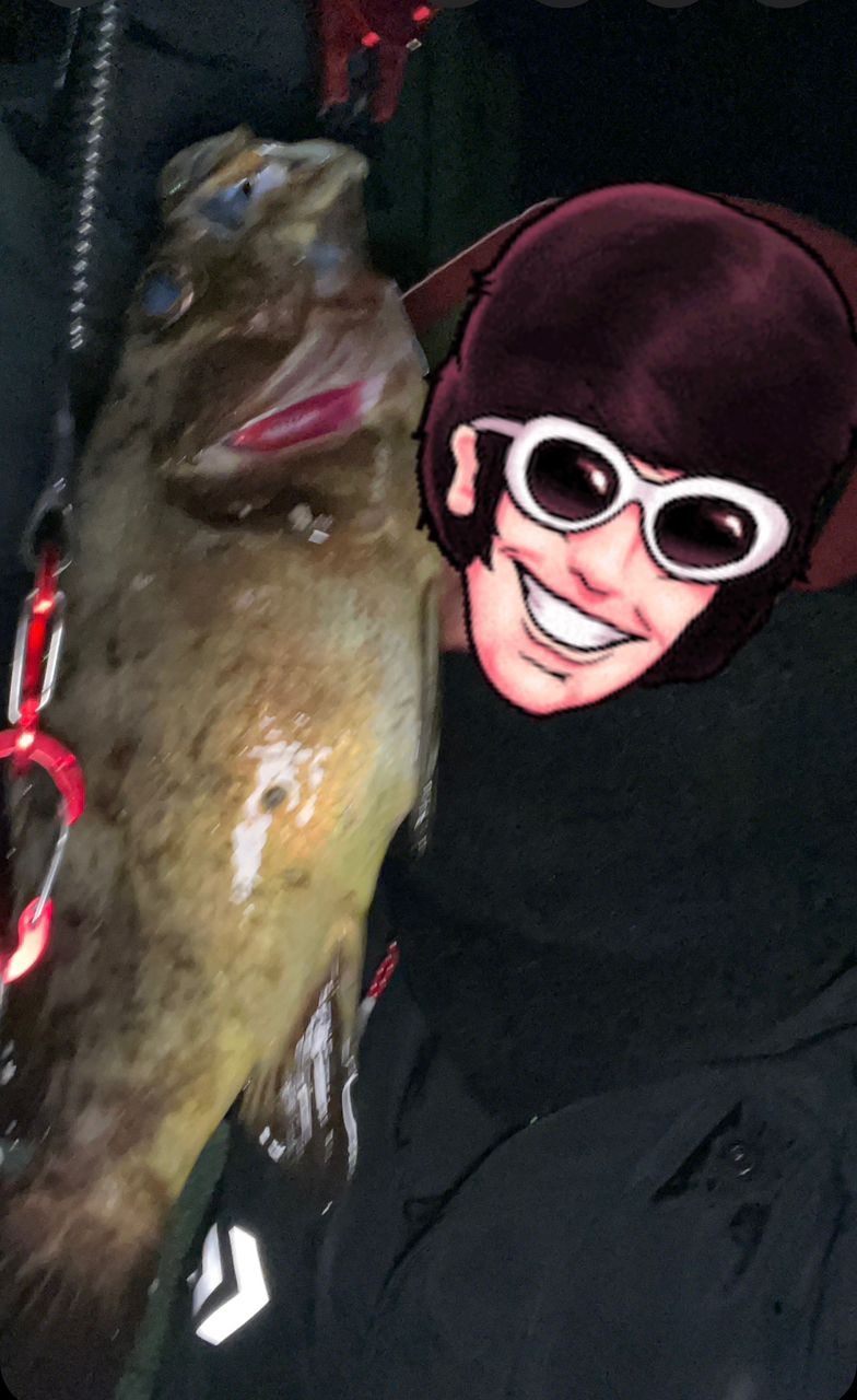 メバル