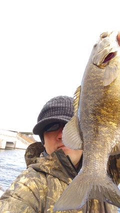 スモールマウスバスの釣果