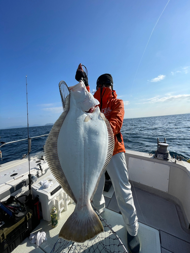 ヒラメの釣果