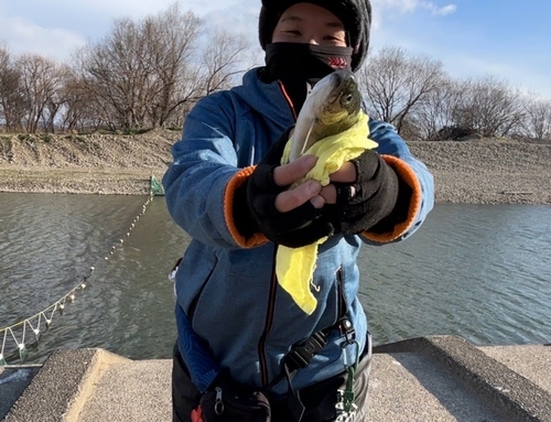 ニジマスの釣果