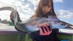 タチウオの釣果