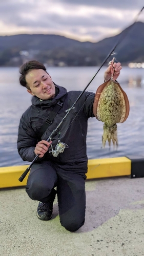 モンゴウイカの釣果