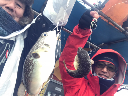 ショウサイフグの釣果