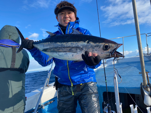 ビンチョウマグロの釣果