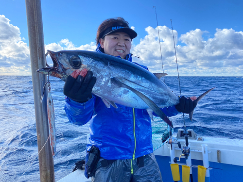 ビンチョウマグロの釣果