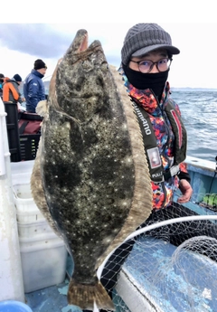 ヒラメの釣果