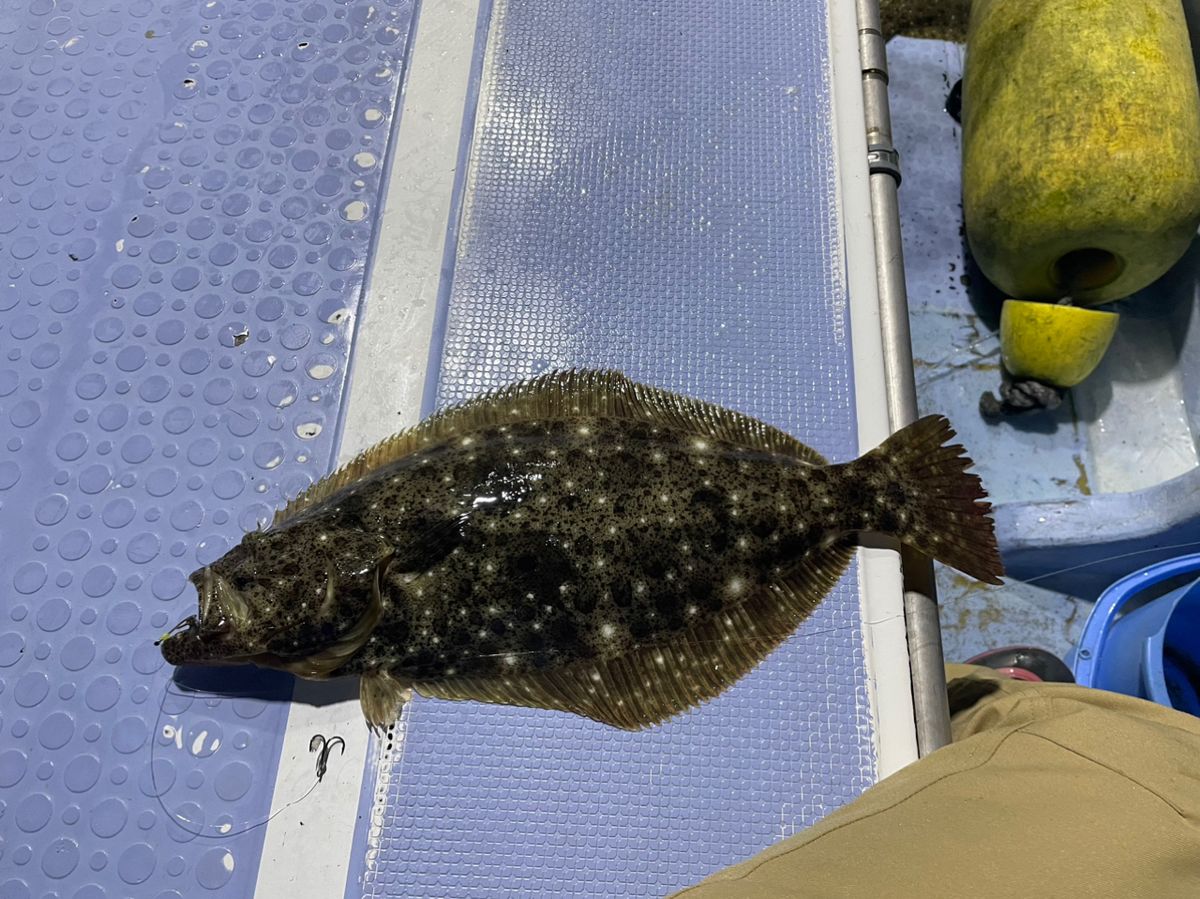 イニシャルTさんの釣果 2枚目の画像