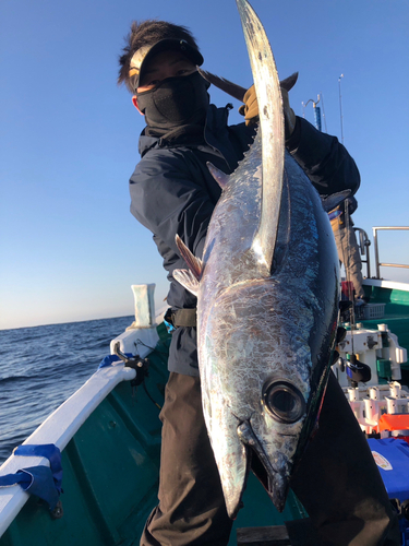 ビンチョウマグロの釣果