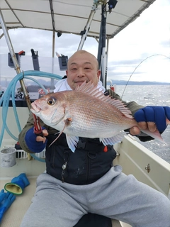 マダイの釣果