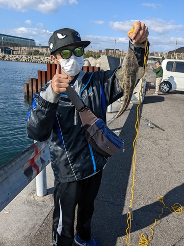 マゴチの釣果