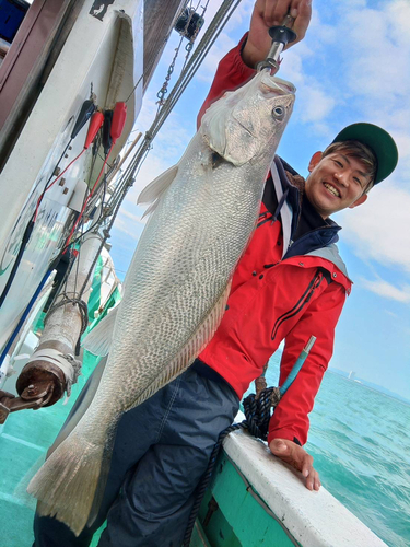 ニベの釣果