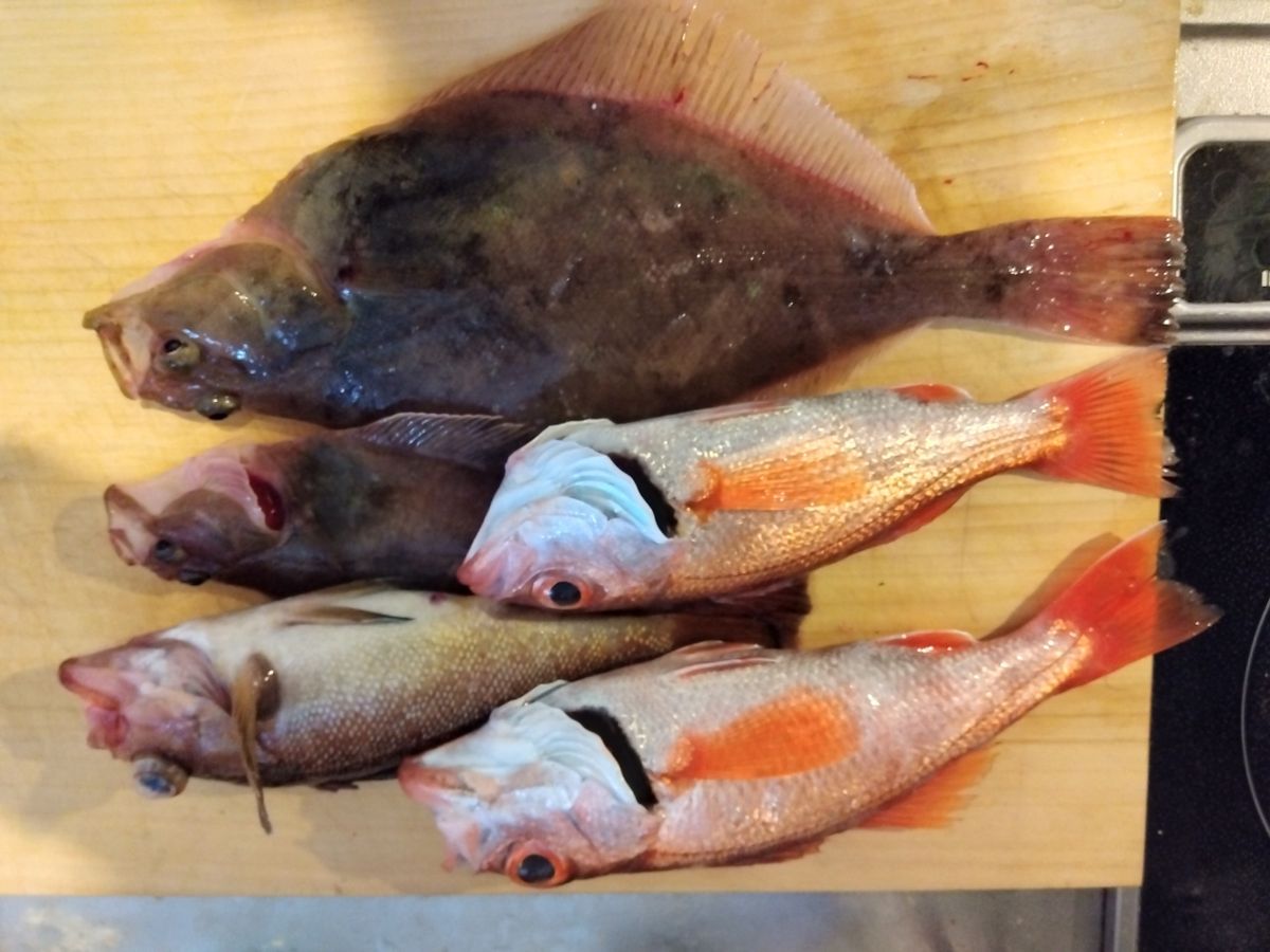 徹さんさんの釣果 1枚目の画像