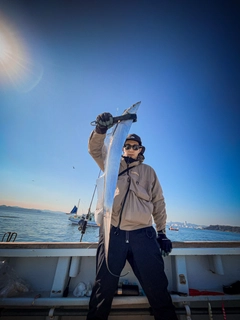 タチウオの釣果