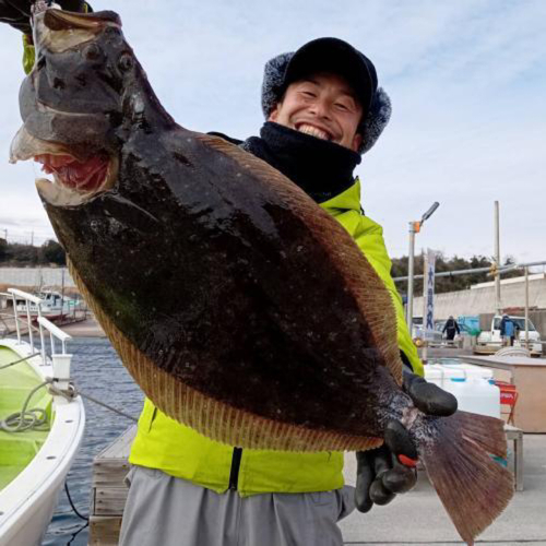 ヒラメの釣果