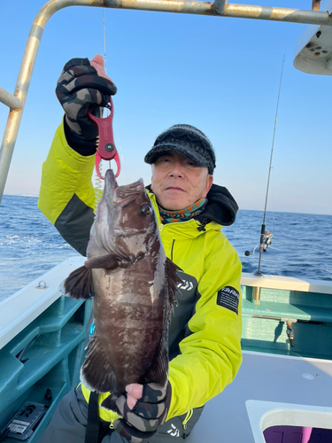 マハタの釣果