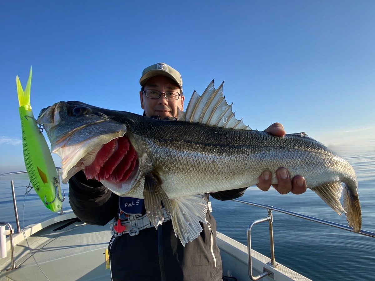 ショア専用アングラーさんの釣果 2枚目の画像