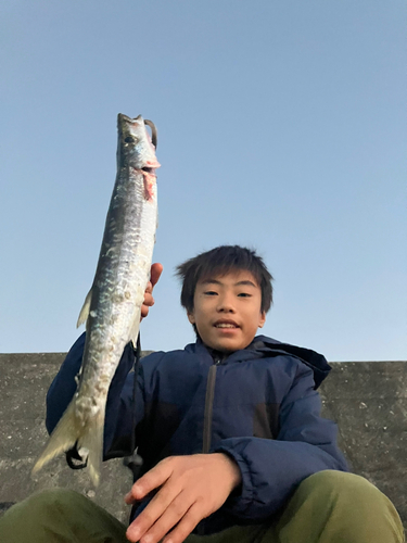 タイワンカマスの釣果