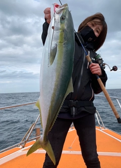 ヤズの釣果