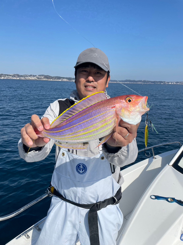 イトヨリダイの釣果