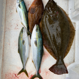 釣病の釣果