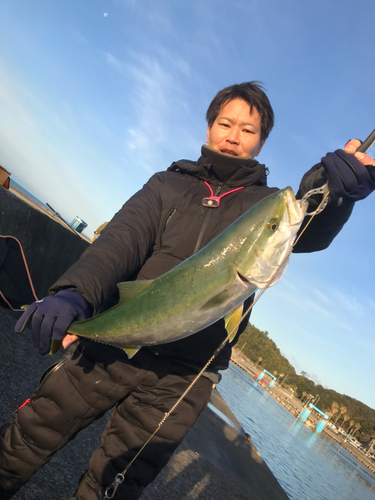 メジロの釣果