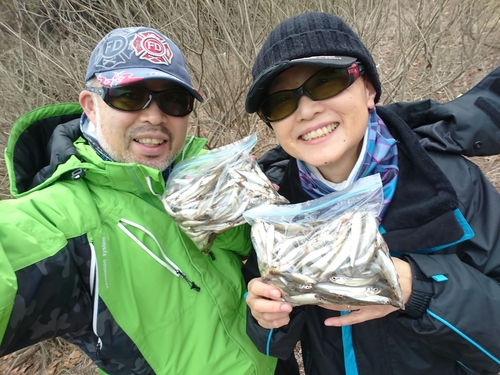 ワカサギの釣果