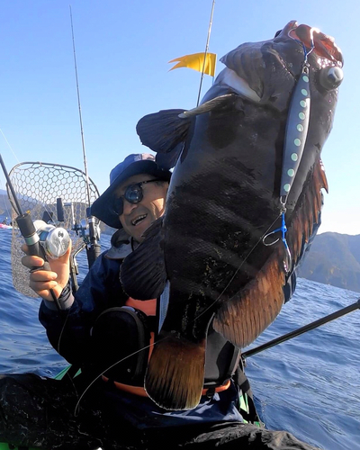 マハタモドキの釣果