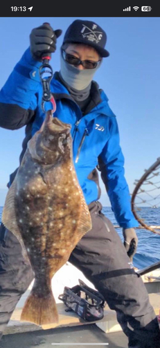 ヒラメの釣果