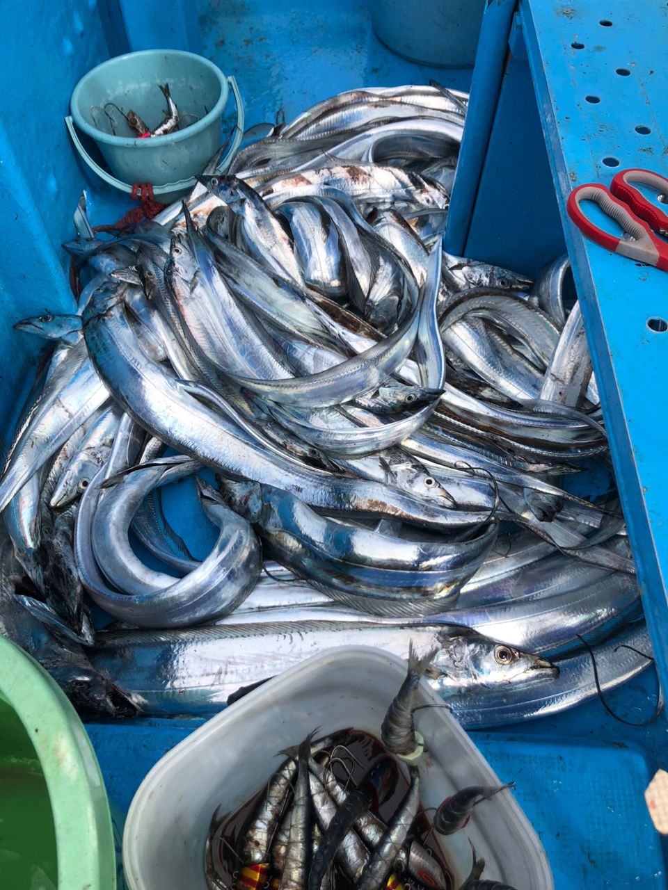 へなちょこ　釣り師さんの釣果 2枚目の画像