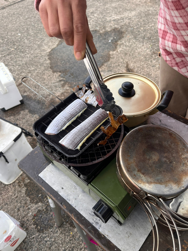 タチウオの釣果