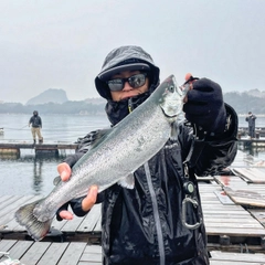 サクラマスの釣果