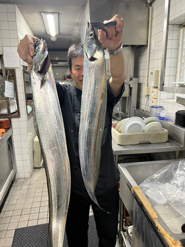 タチウオの釣果