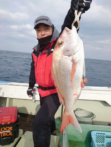 マダイの釣果