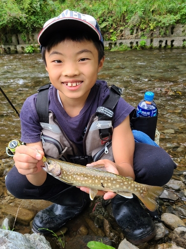 イワナの釣果