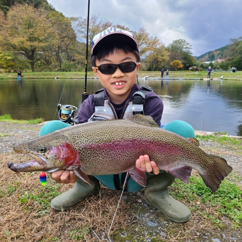 ニジマスの釣果