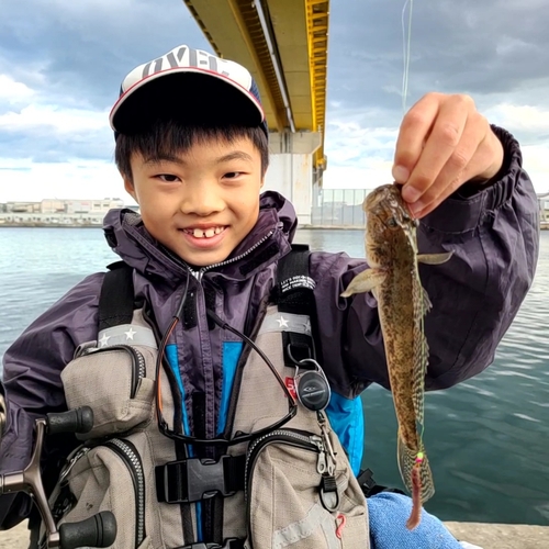 ハゼの釣果