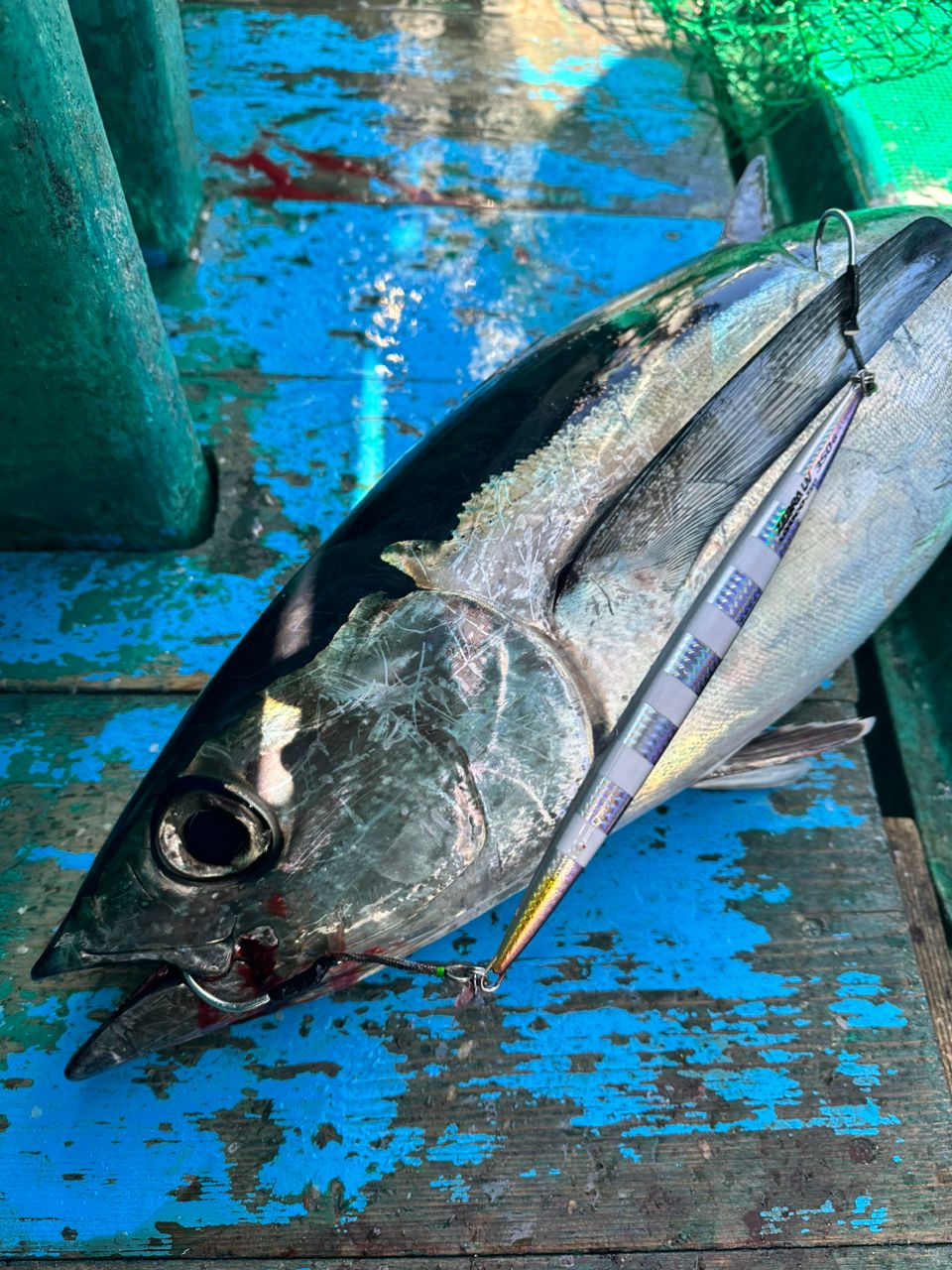 fishing.kenjiさんの釣果 3枚目の画像