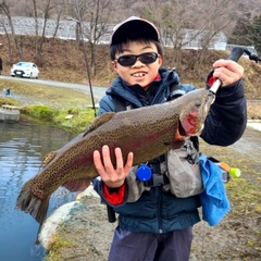 ニジマスの釣果