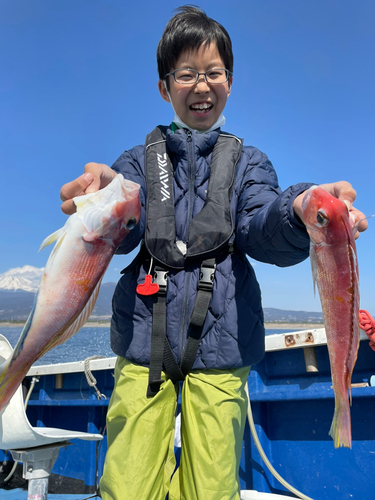 アマダイの釣果