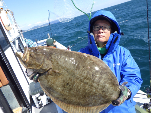 ヒラメの釣果