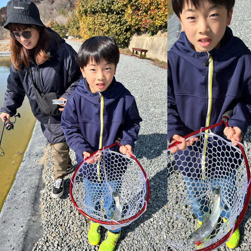 ニジマスの釣果